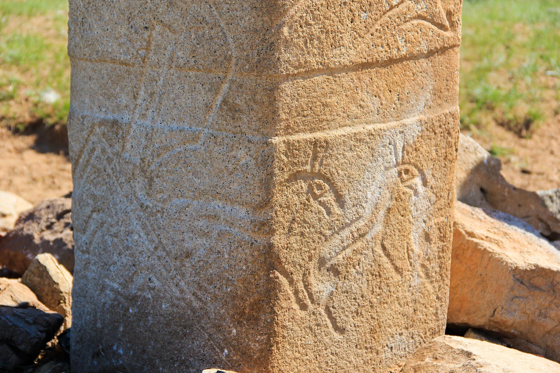 モンゴル旅行の持ち物リスト（2026年版）