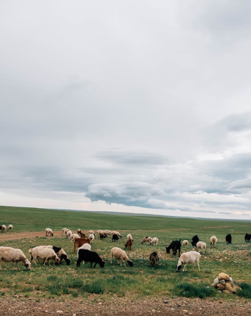 フブスグル湖と遊牧民 6日間 4