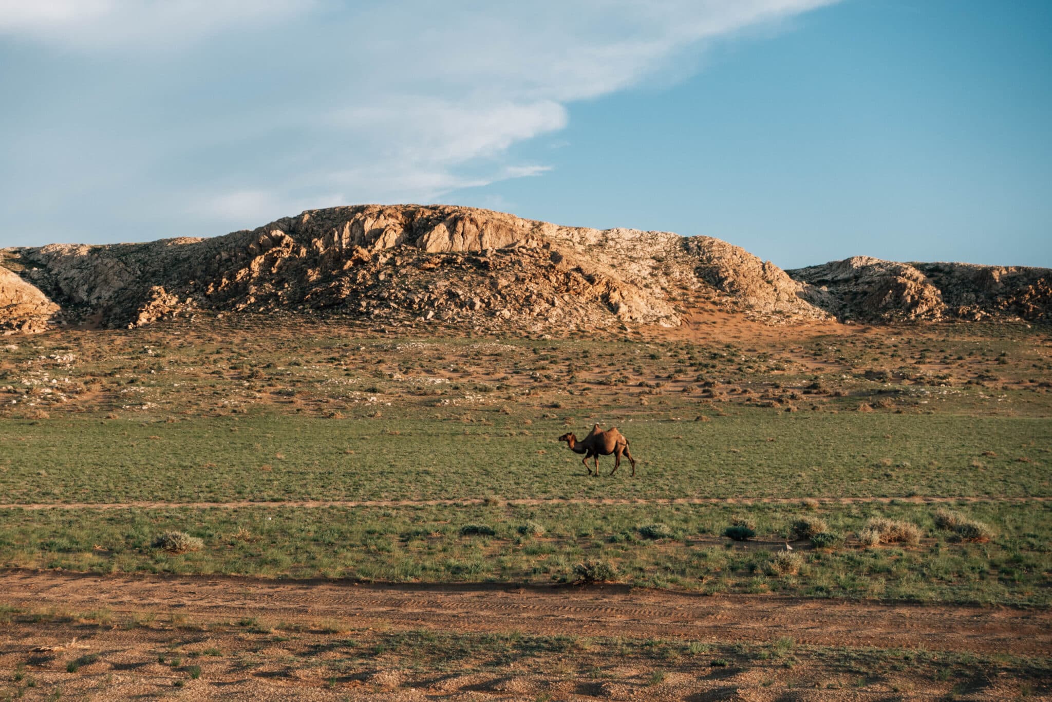 ゴビ砂漠探検 5日間 2