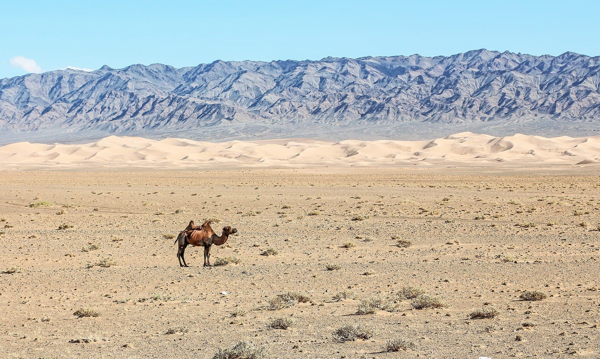 ゴビ砂漠探検 5日間