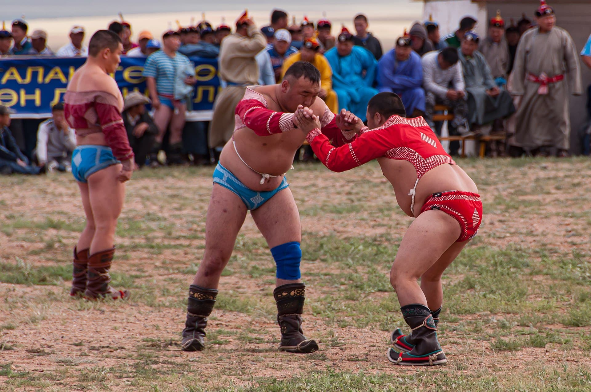 相撲のふるさとツアー 5日間